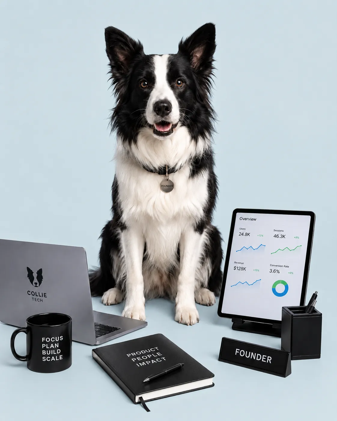 Піксель — CEO технологічного стартапу Collie Tech